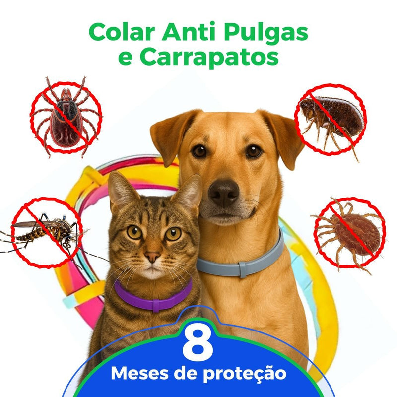 Colar Anti Pulgas e Carrapatos